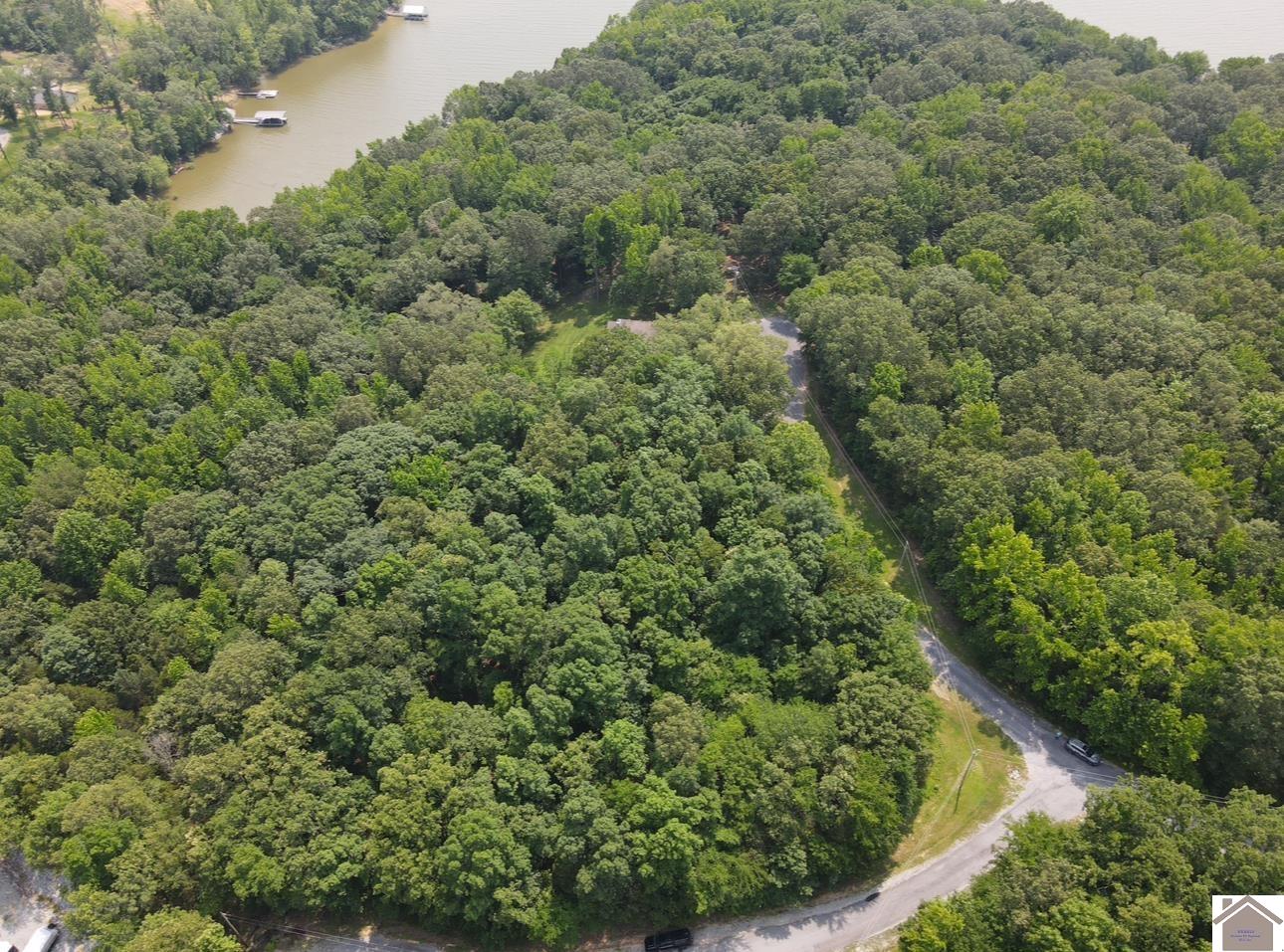Lot 40 Mimosa Ct, Cadiz, KY 42211 Listing Photo  10