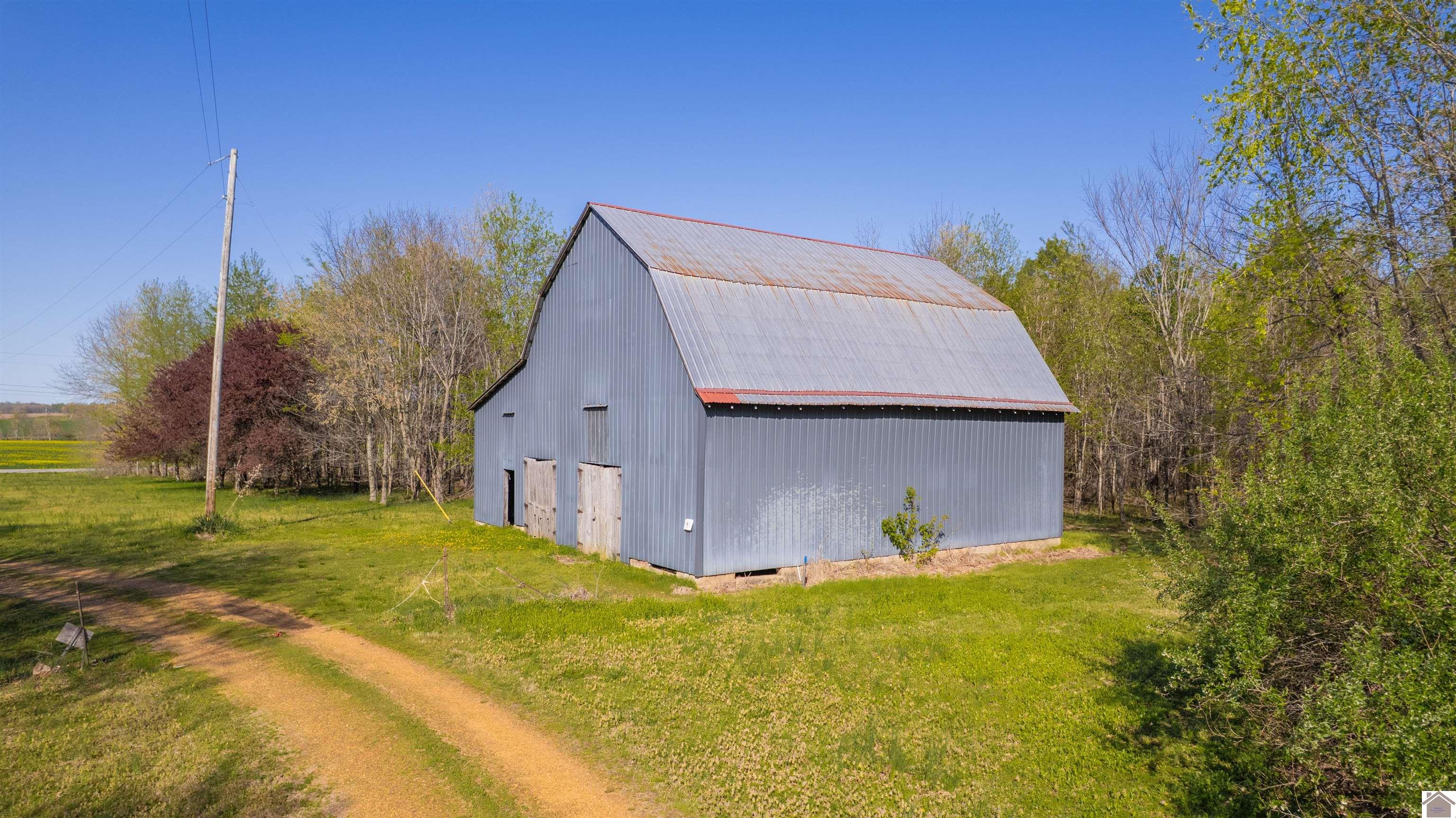 4363 State Route 80 W, Mayfield, KY 42066 Listing Photo  12
