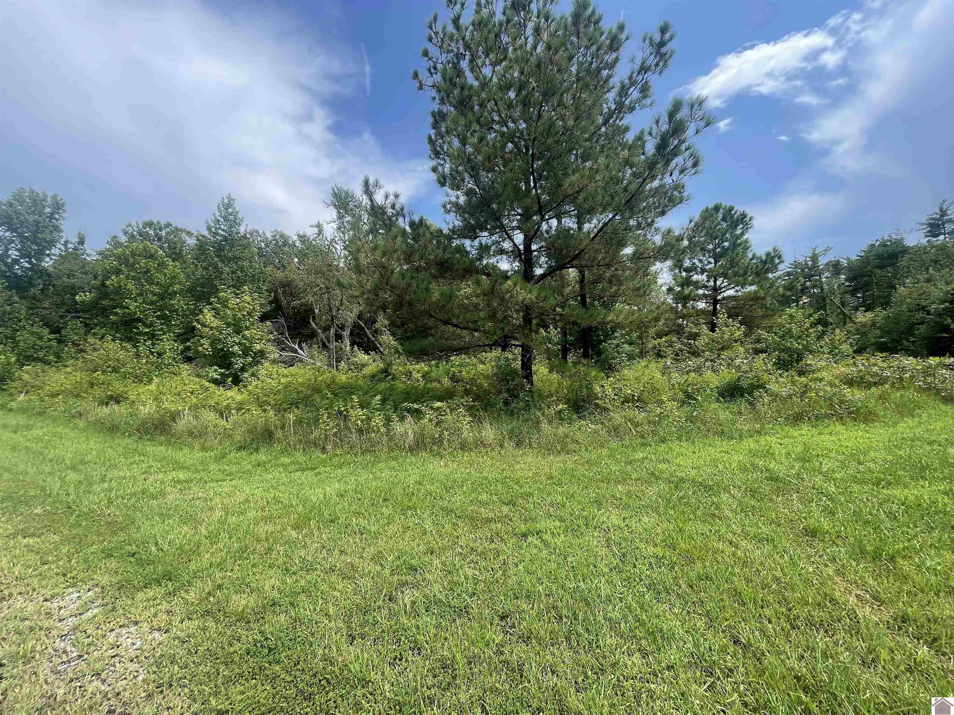 Deepwood Drive, Murray, KY 42071 Listing Photo  1