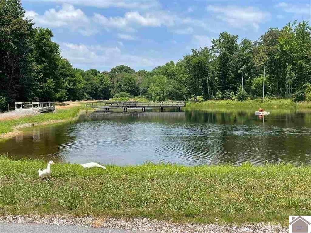 Deepwood Drive, Murray, KY 42071 Listing Photo  7