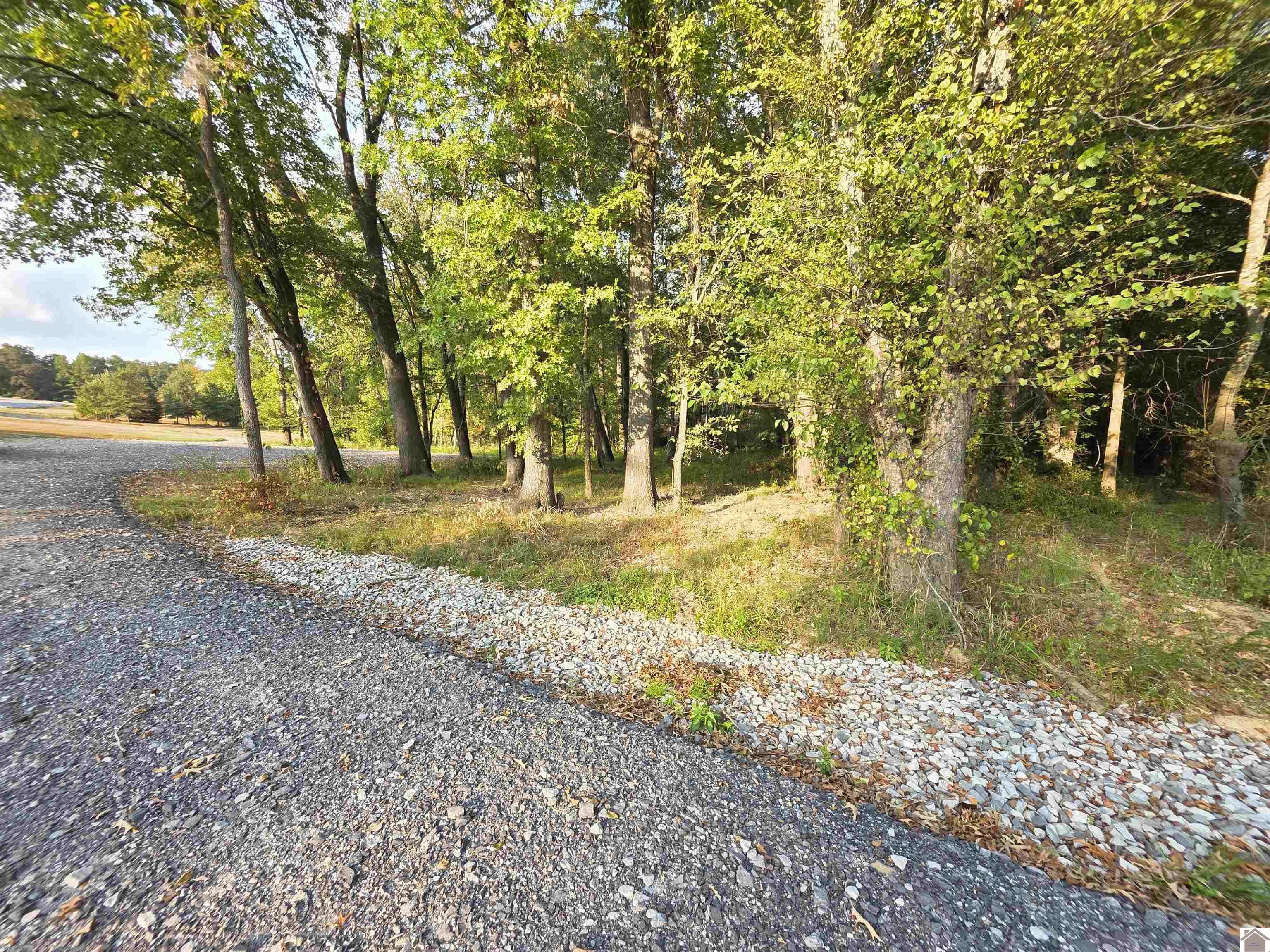 80 Oak Tree Lane, Benton, KY 42025 Listing Photo  12