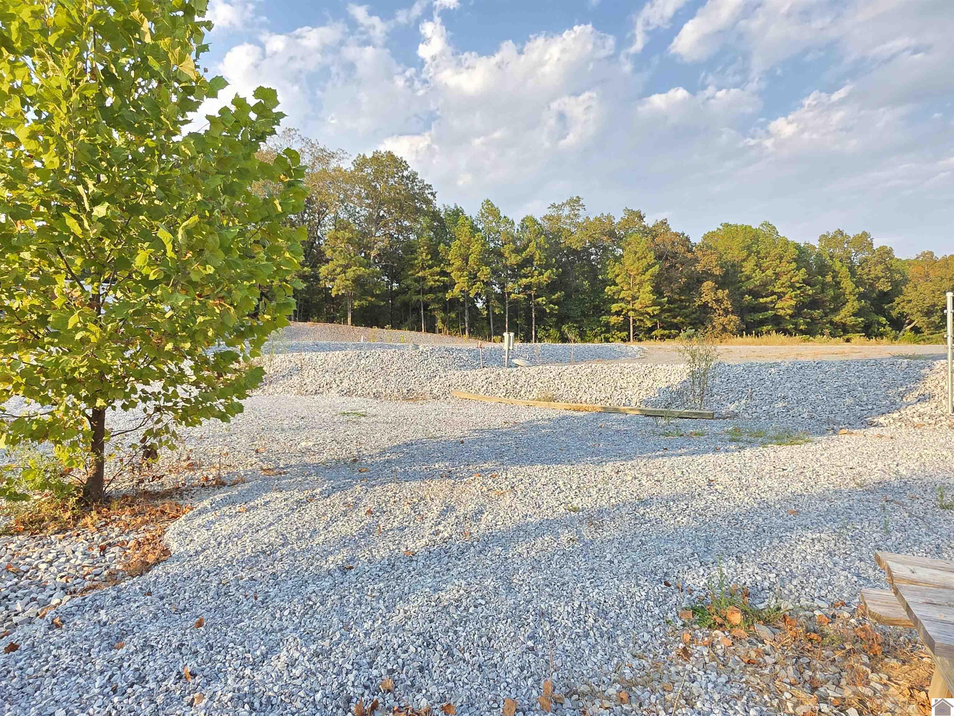 80 Oak Tree Lane, Benton, KY 42025 Listing Photo  16