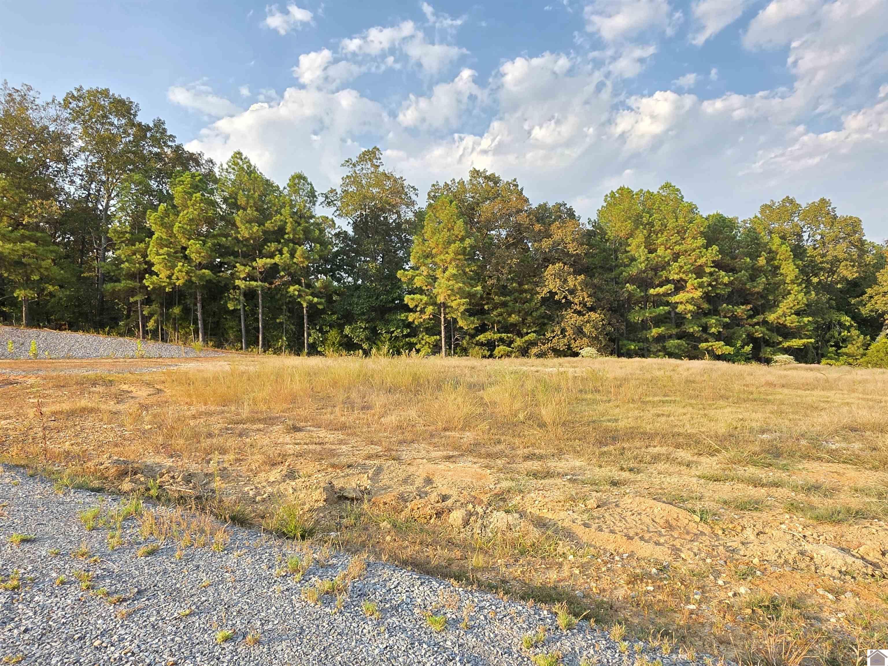80 Oak Tree Lane, Benton, KY 42025 Listing Photo  17