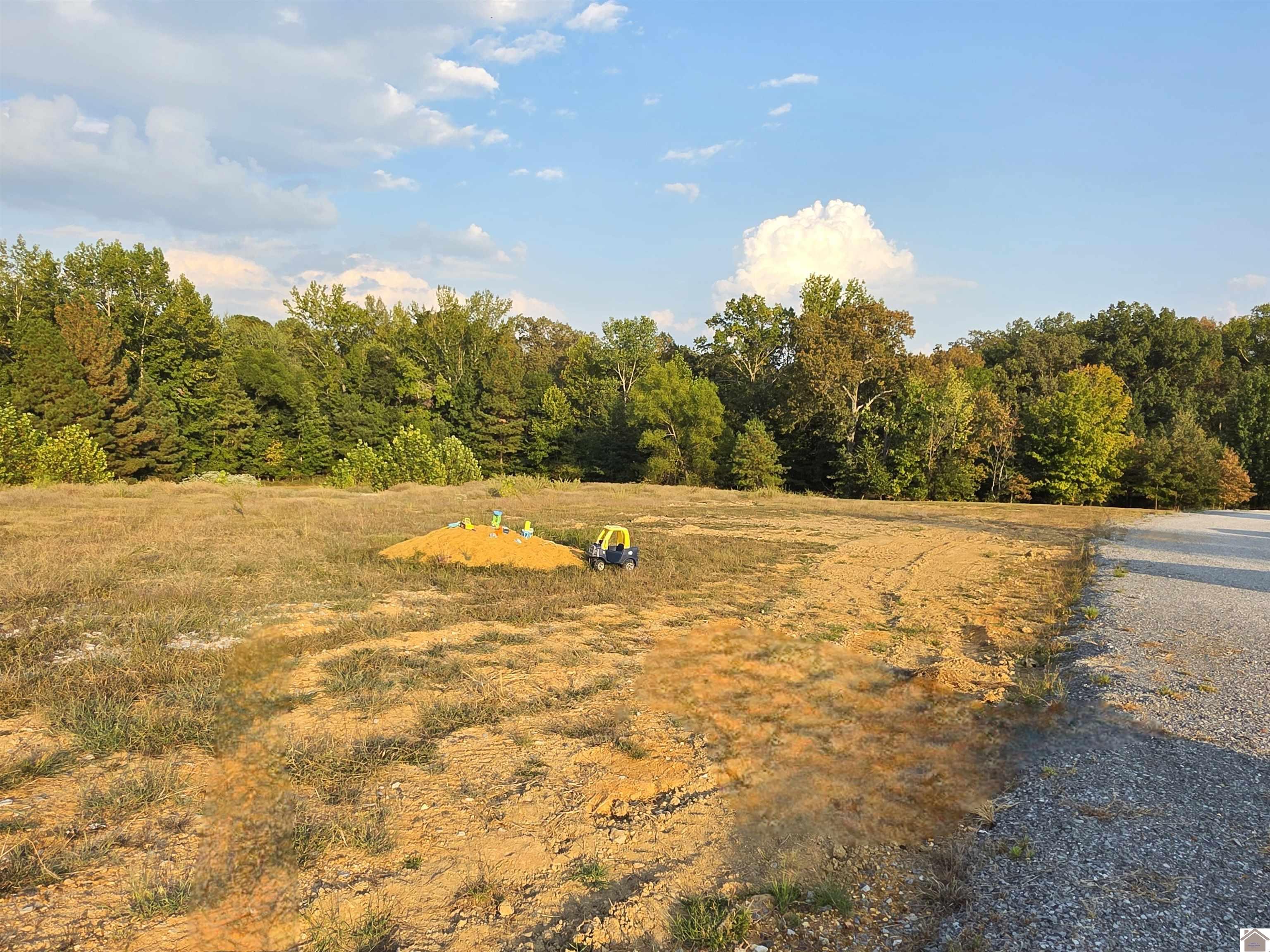 80 Oak Tree Lane, Benton, KY 42025 Listing Photo  18