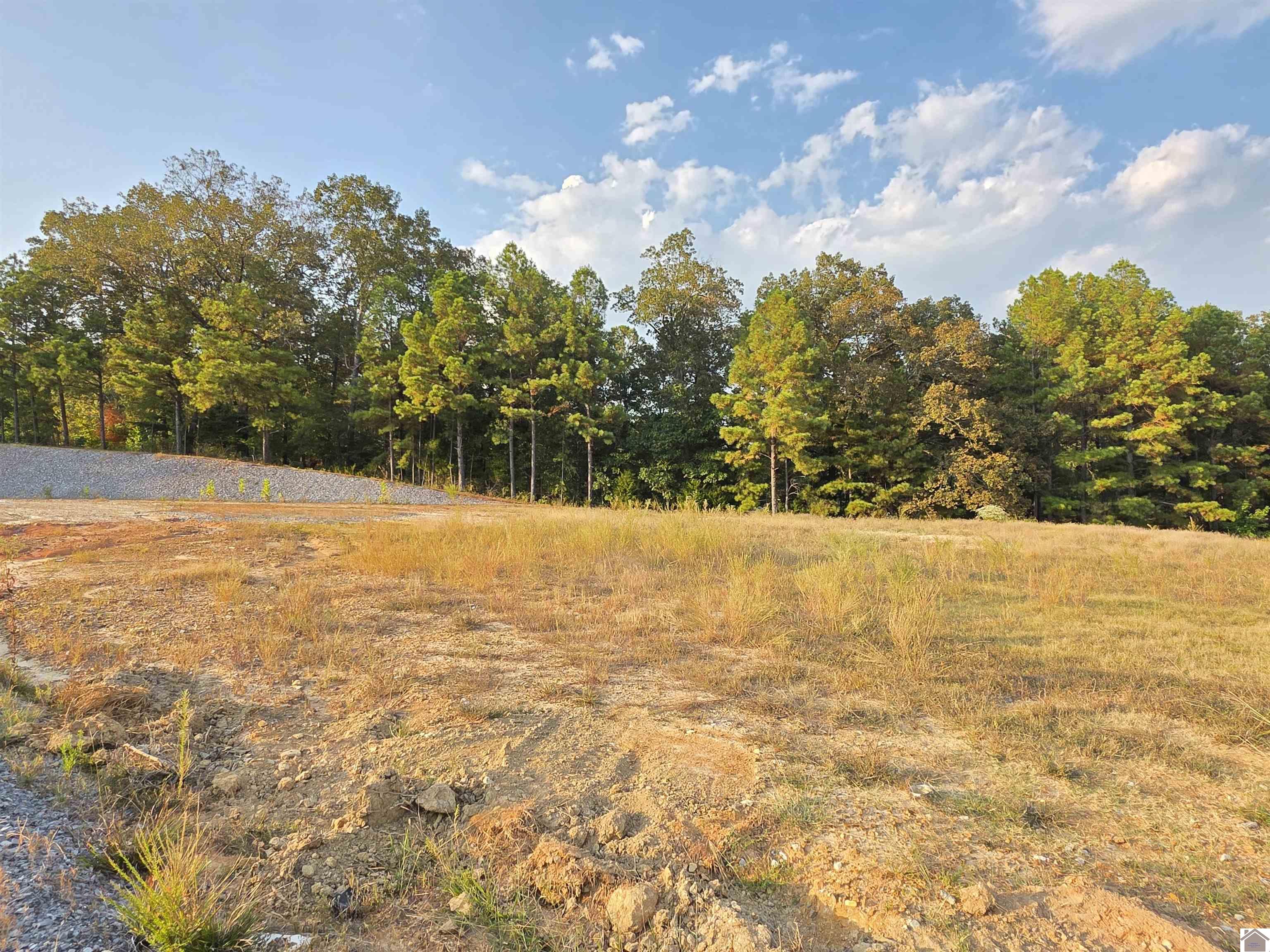 80 Oak Tree Lane, Benton, KY 42025 Listing Photo  19