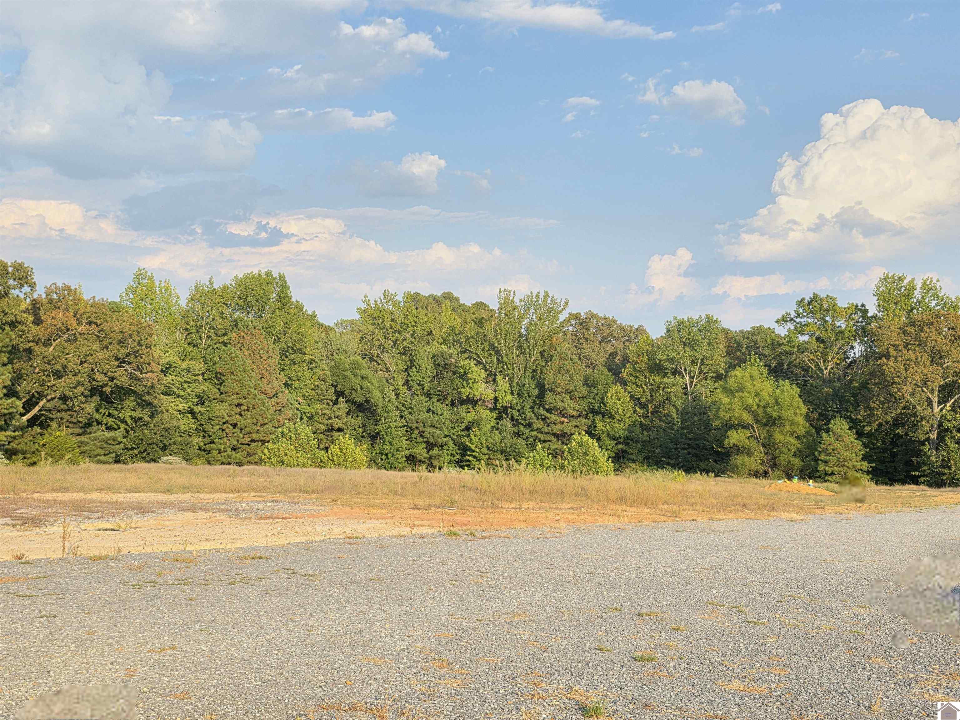80 Oak Tree Lane, Benton, KY 42025 Listing Photo  20