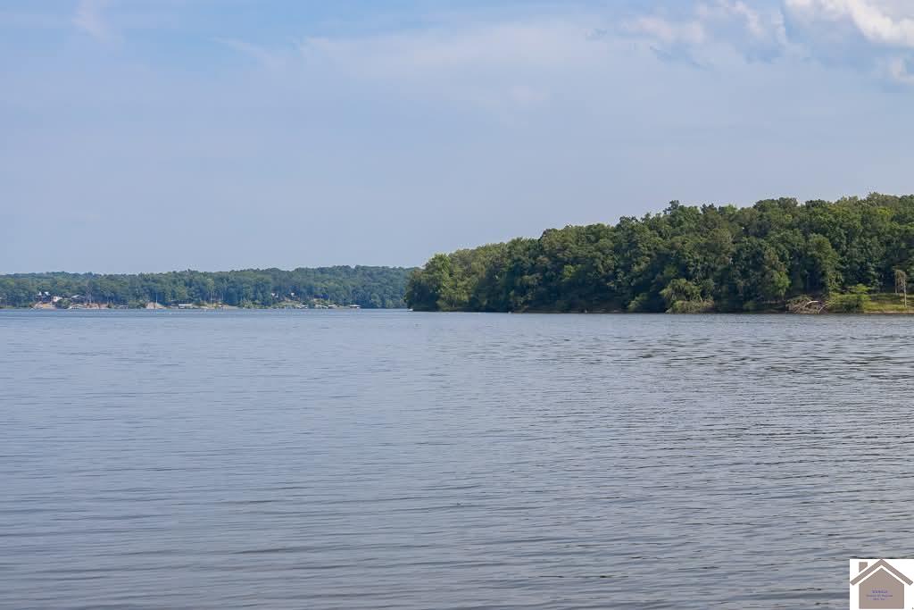 80 Oak Tree Lane, Benton, KY 42025 Listing Photo  25