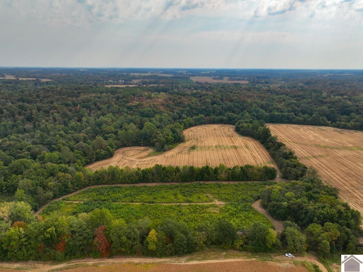 000 Hammond Road, Murray, KY 42071 Listing Photo  1