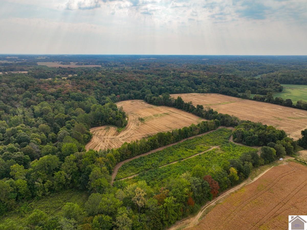 000 Hammond Road, Murray, KY 42071 Listing Photo  2