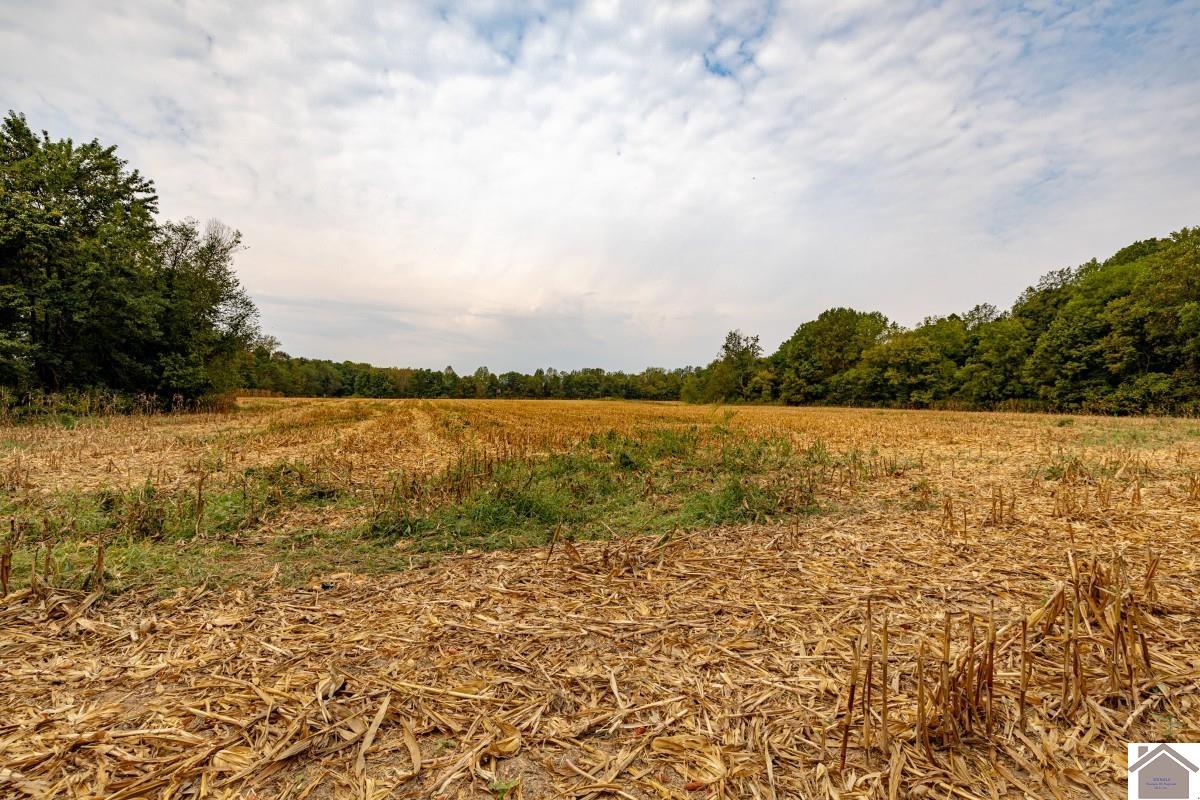 000 Hammond Road, Murray, KY 42071 Listing Photo  11