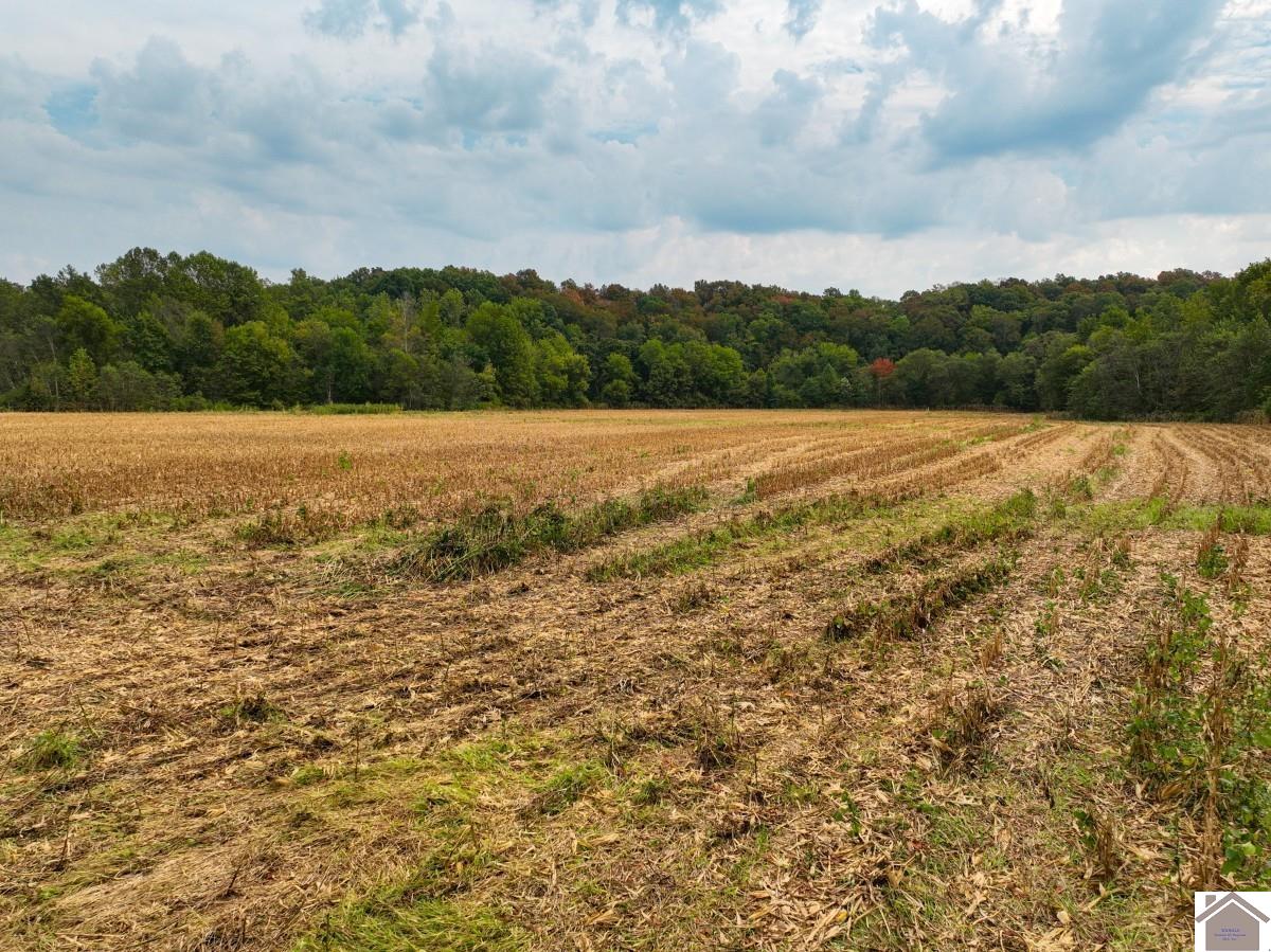000 Hammond Road, Murray, KY 42071 Listing Photo  13