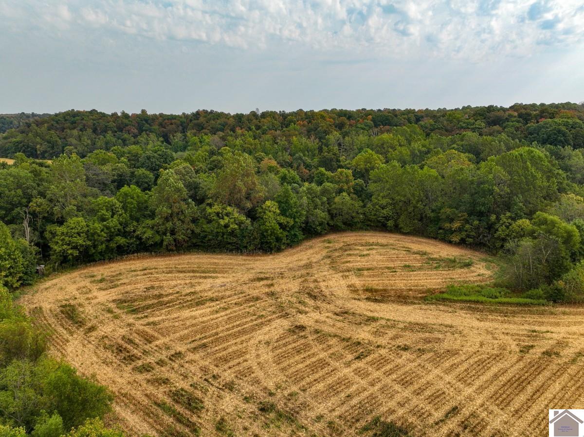 000 Hammond Road, Murray, KY 42071 Listing Photo  15