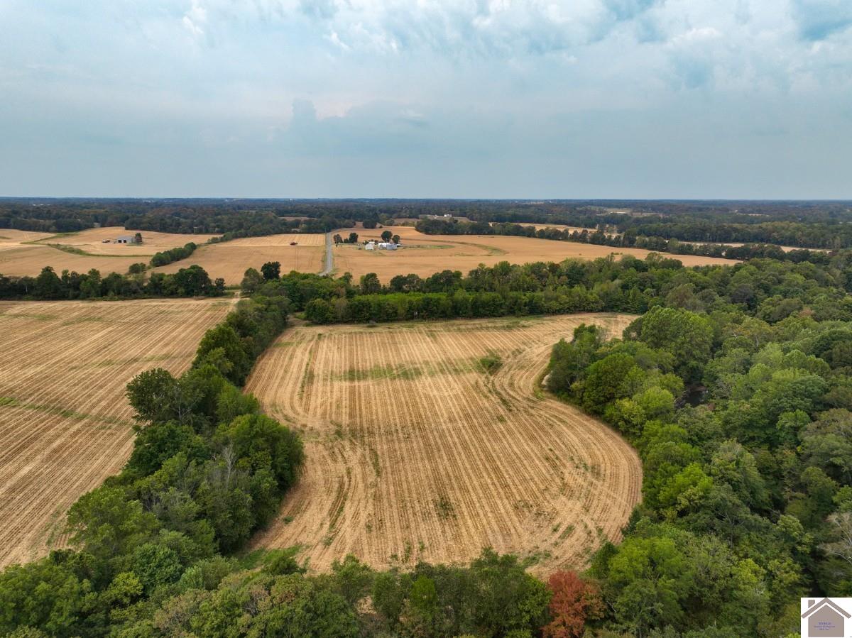 000 Hammond Road, Murray, KY 42071 Listing Photo  17
