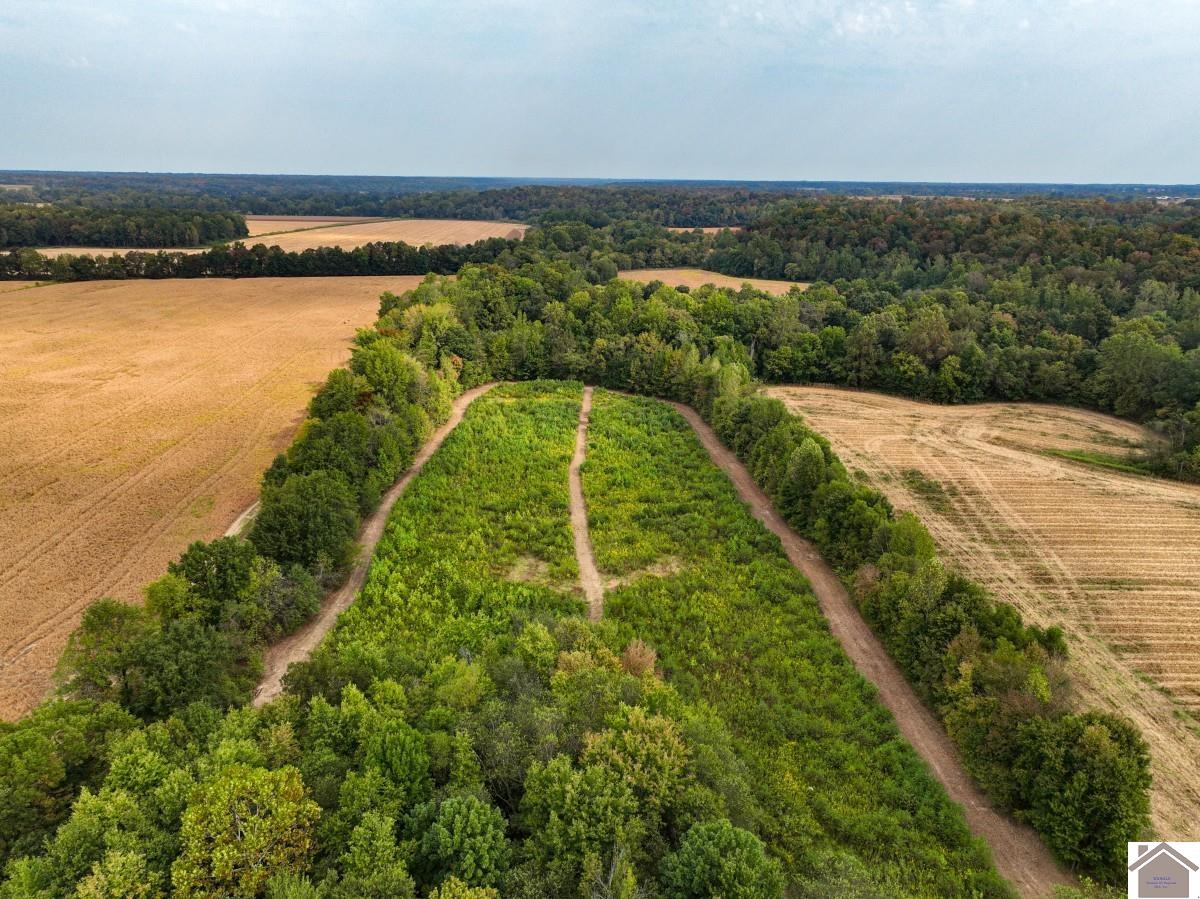 000 Hammond Road, Murray, KY 42071 Listing Photo  18