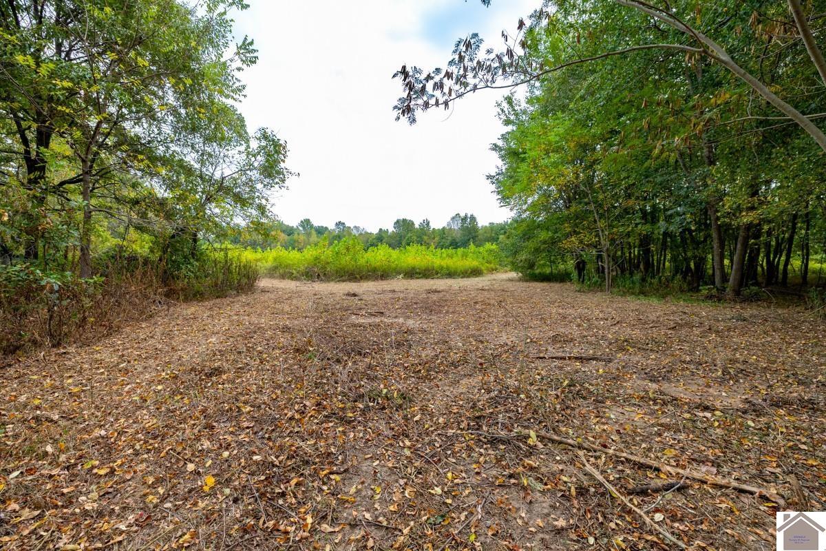 000 Hammond Road, Murray, KY 42071 Listing Photo  19