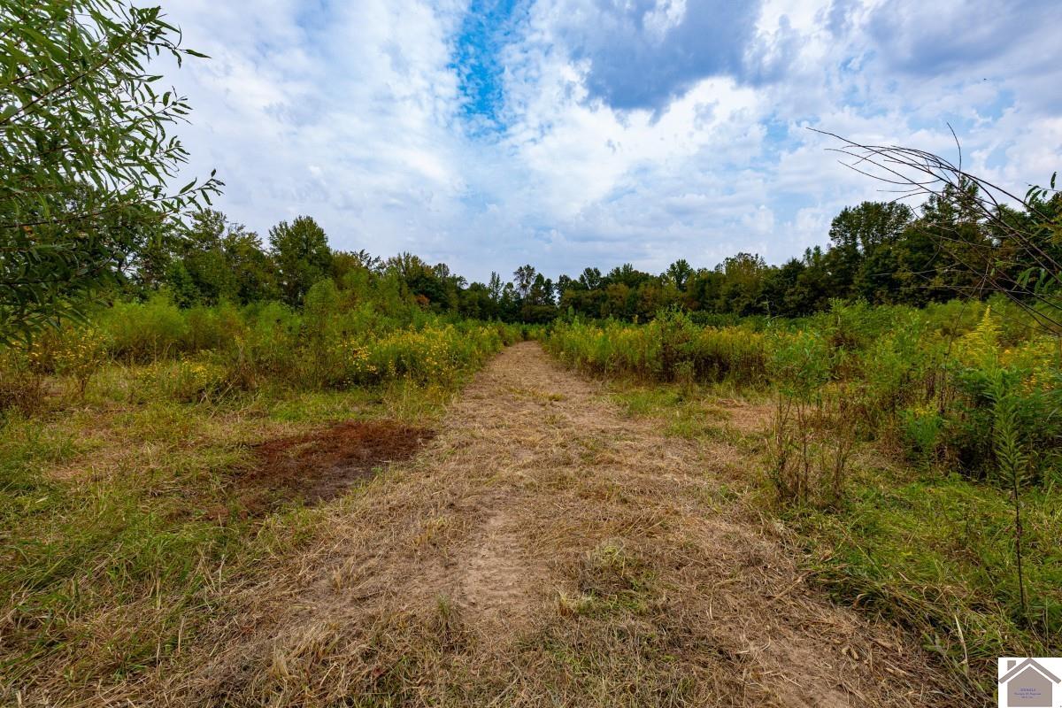 000 Hammond Road, Murray, KY 42071 Listing Photo  20