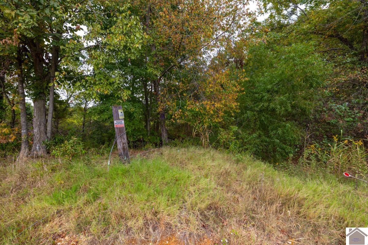 000 Hammond Road, Murray, KY 42071 Listing Photo  3