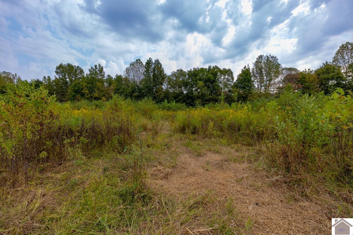 000 Hammond Road, Murray, KY 42071 Listing Photo  21