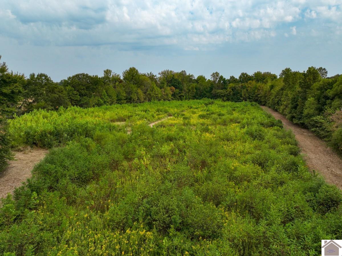 000 Hammond Road, Murray, KY 42071 Listing Photo  22