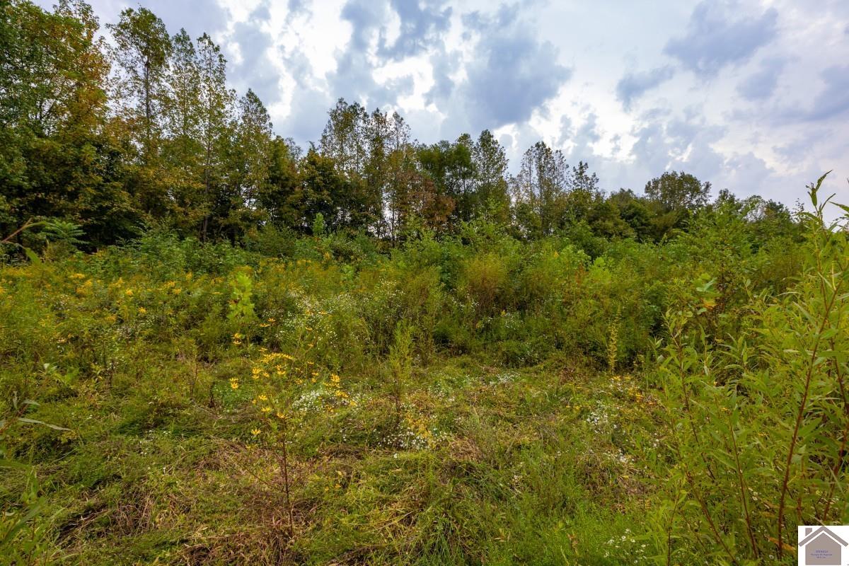 000 Hammond Road, Murray, KY 42071 Listing Photo  25