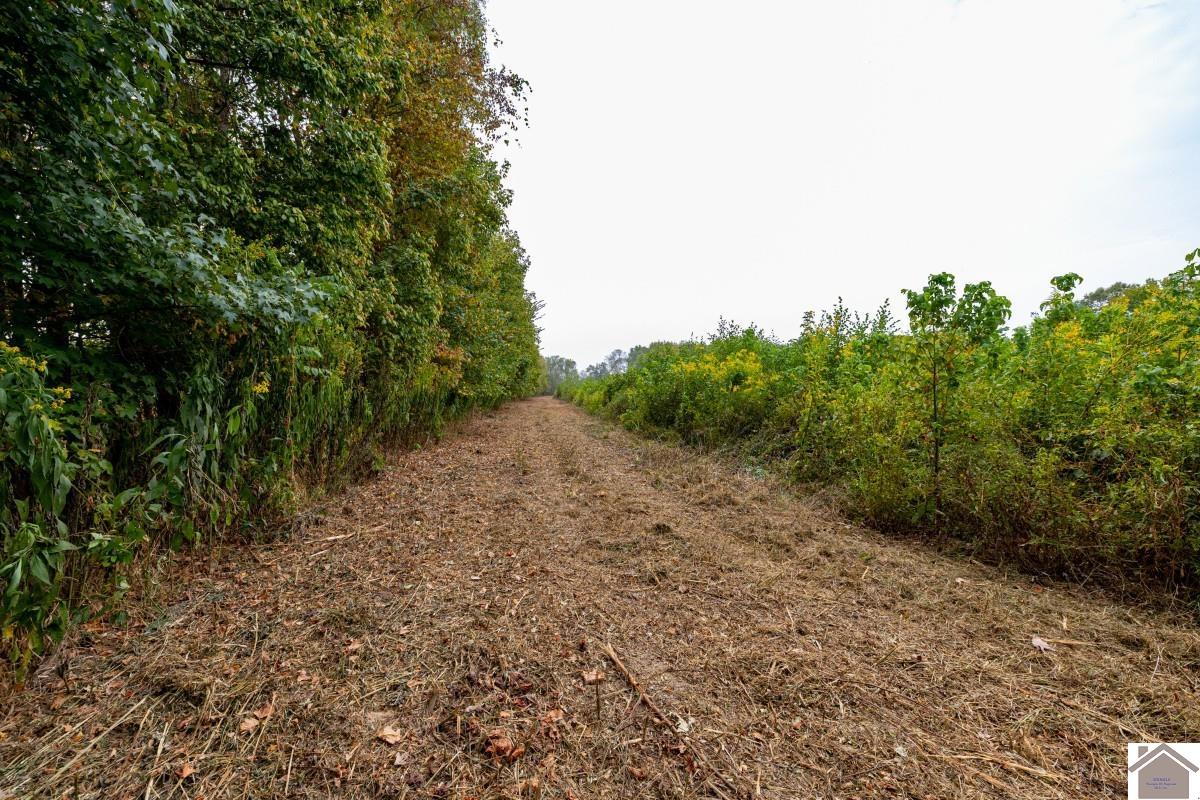 000 Hammond Road, Murray, KY 42071 Listing Photo  26