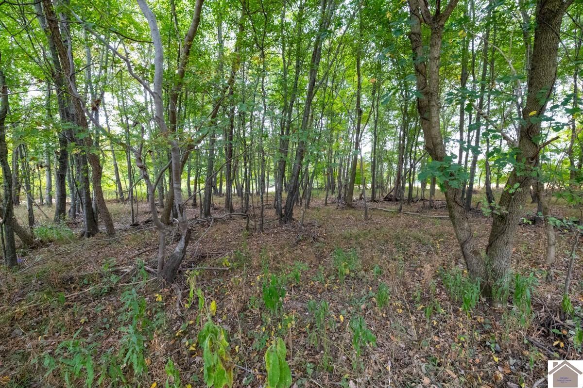 000 Hammond Road, Murray, KY 42071 Listing Photo  29