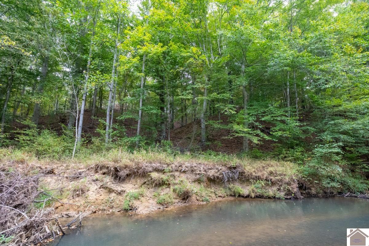 000 Hammond Road, Murray, KY 42071 Listing Photo  32