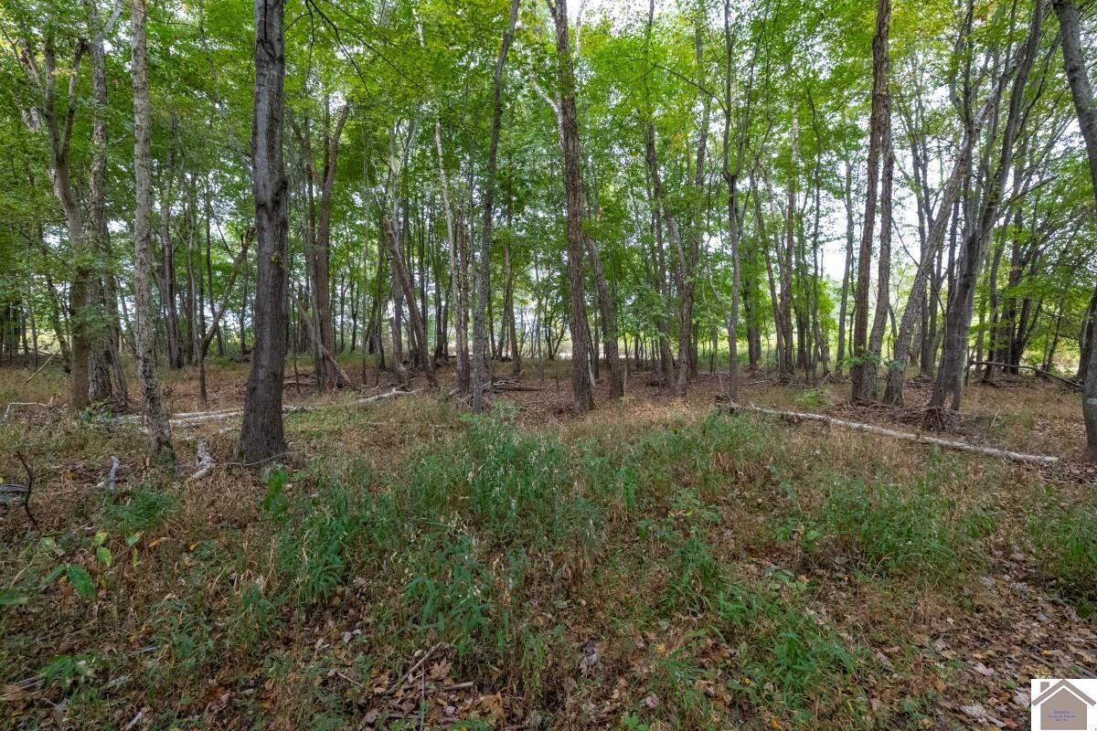 000 Hammond Road, Murray, KY 42071 Listing Photo  33