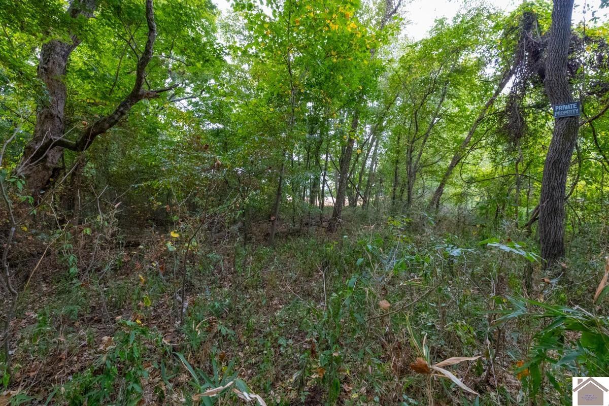 000 Hammond Road, Murray, KY 42071 Listing Photo  34