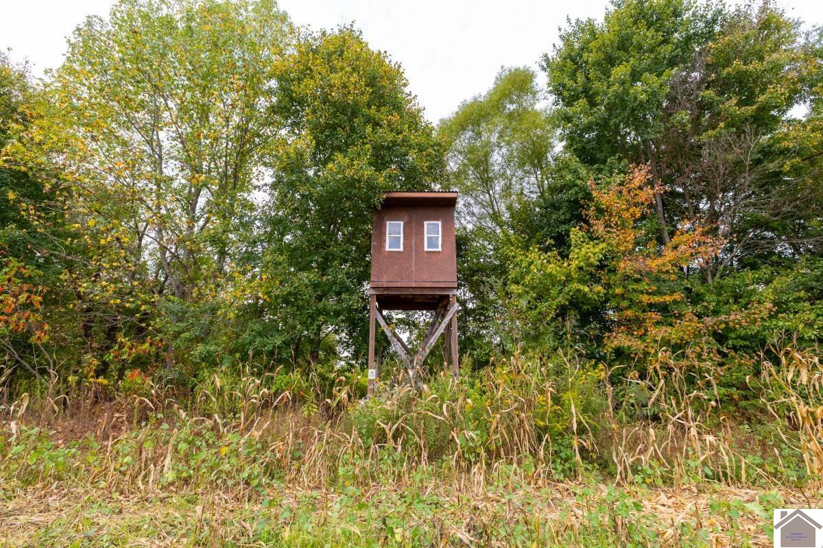 000 Hammond Road, Murray, KY 42071 Listing Photo  9