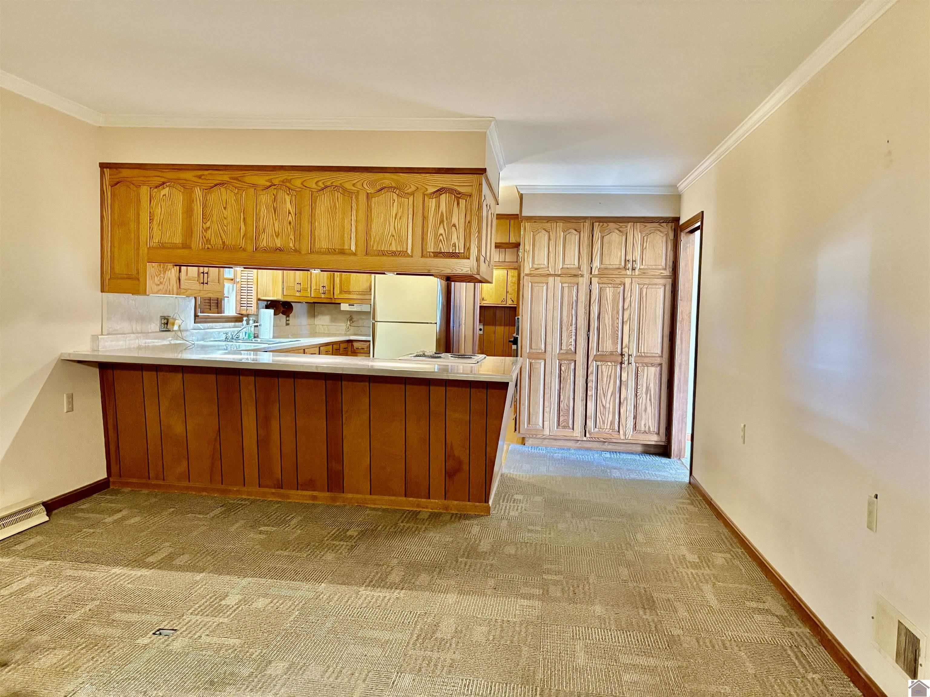 2250 Old Canton Pike, Cadiz, KY 42211 Listing Photo  12