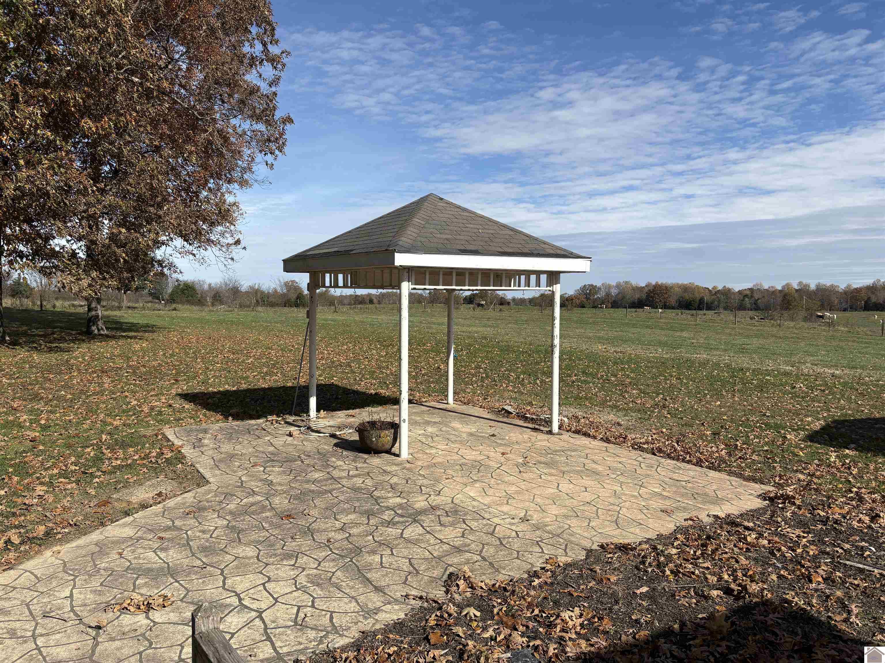 2250 Old Canton Pike, Cadiz, KY 42211 Listing Photo  3