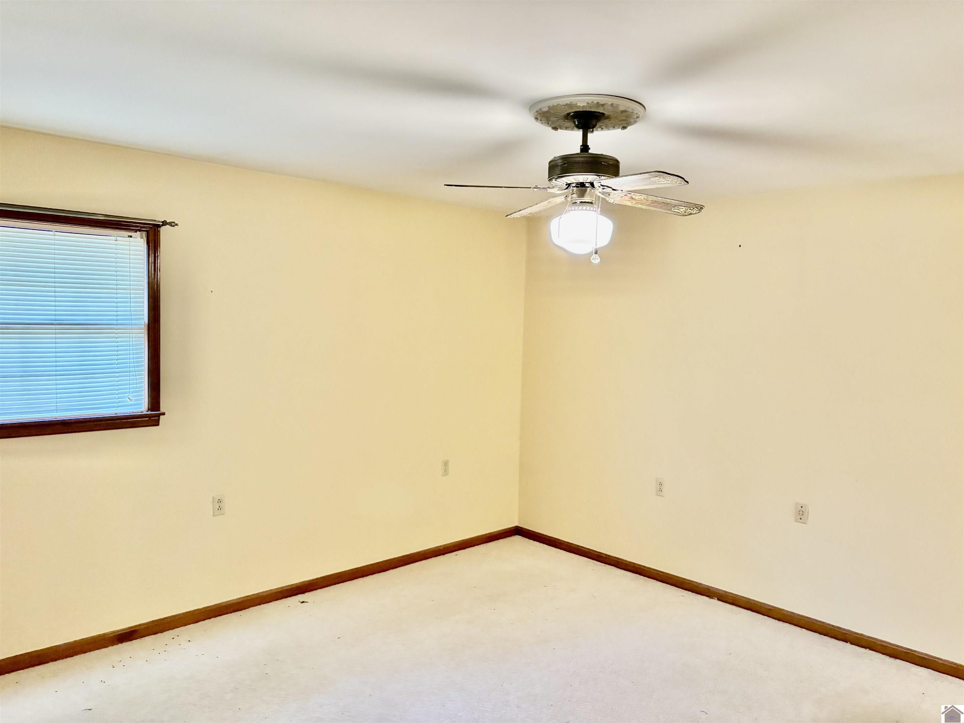 2250 Old Canton Pike, Cadiz, KY 42211 Listing Photo  24