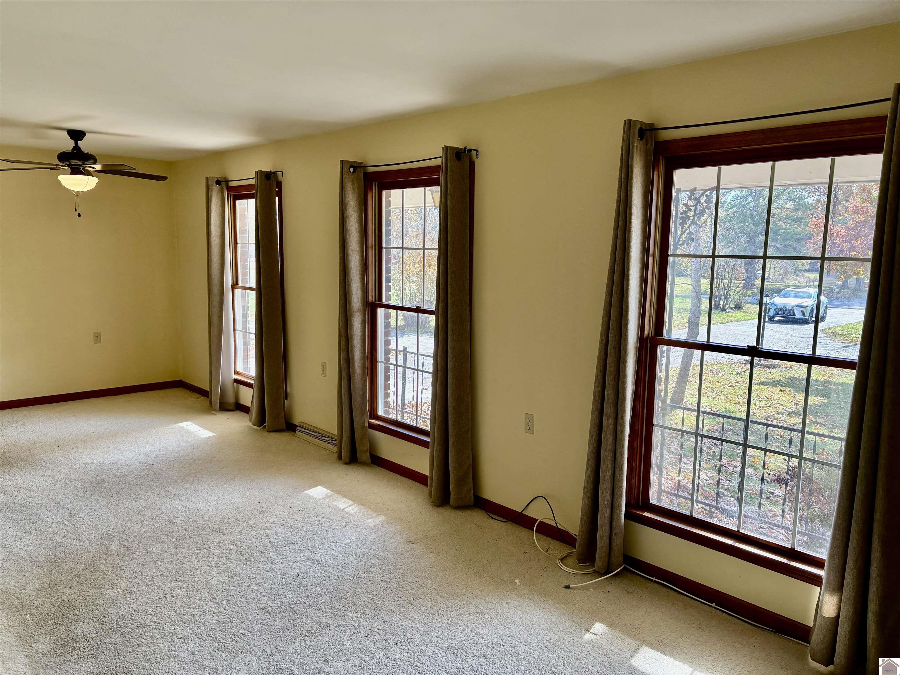2250 Old Canton Pike, Cadiz, KY 42211 Listing Photo  8
