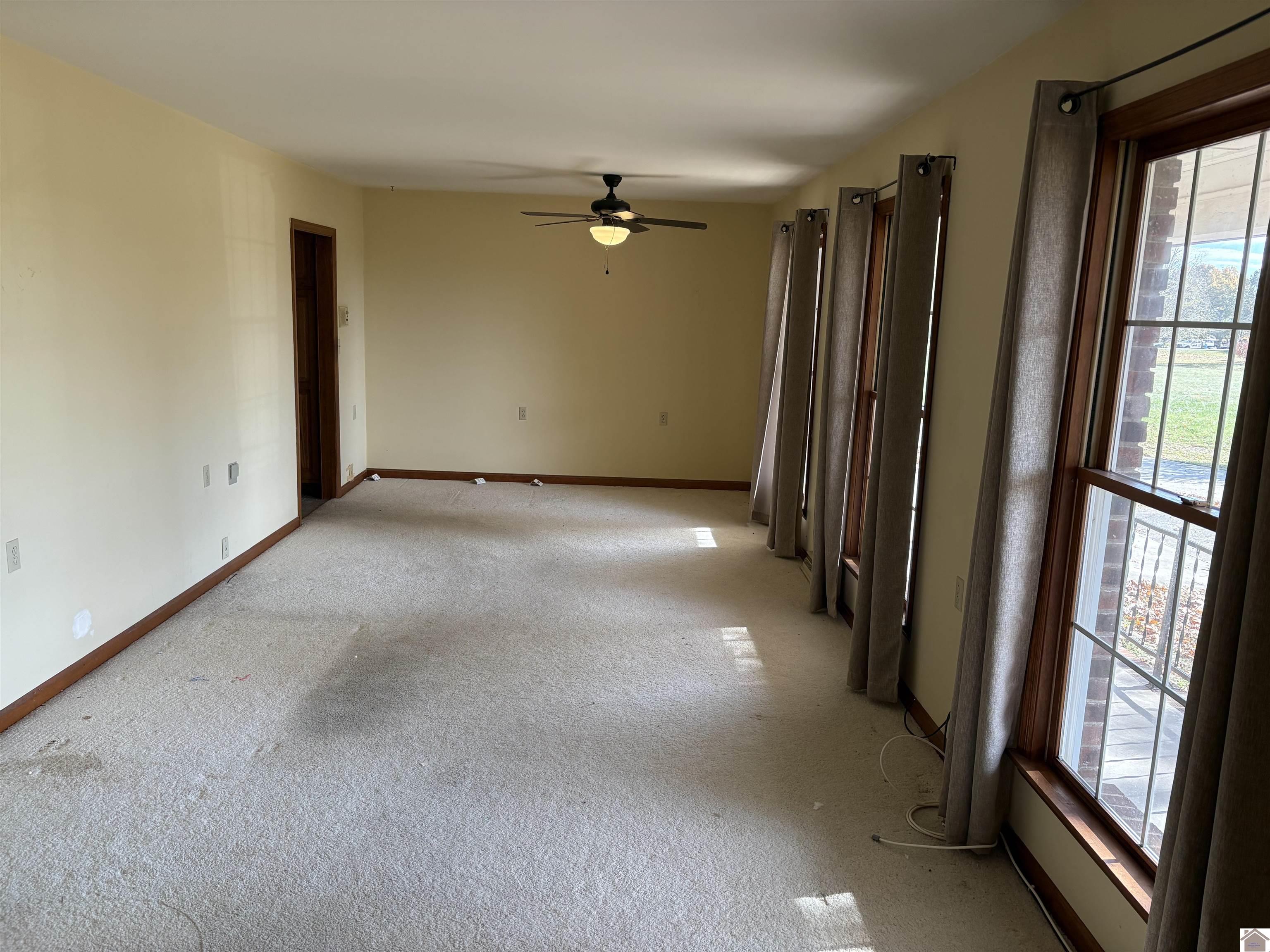 2250 Old Canton Pike, Cadiz, KY 42211 Listing Photo  9