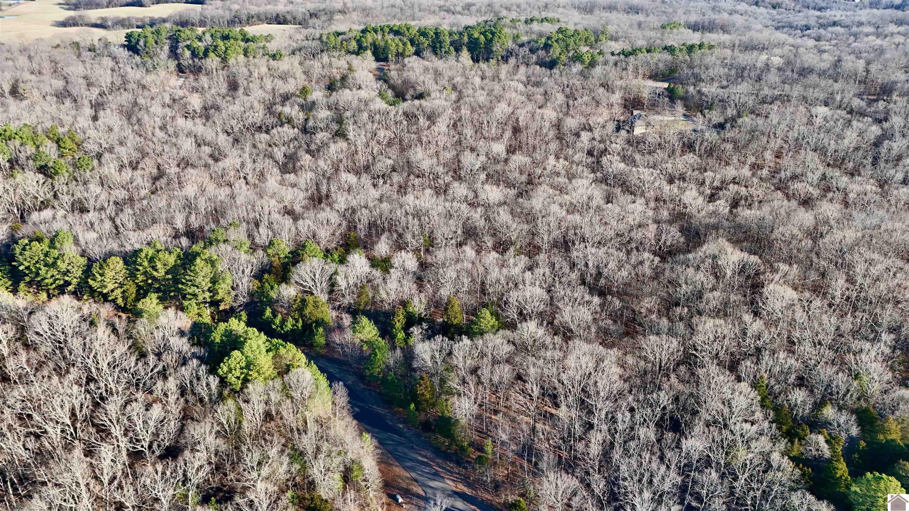 000 Hills Hollow Rd, Murray, KY 42071 Listing Photo  2