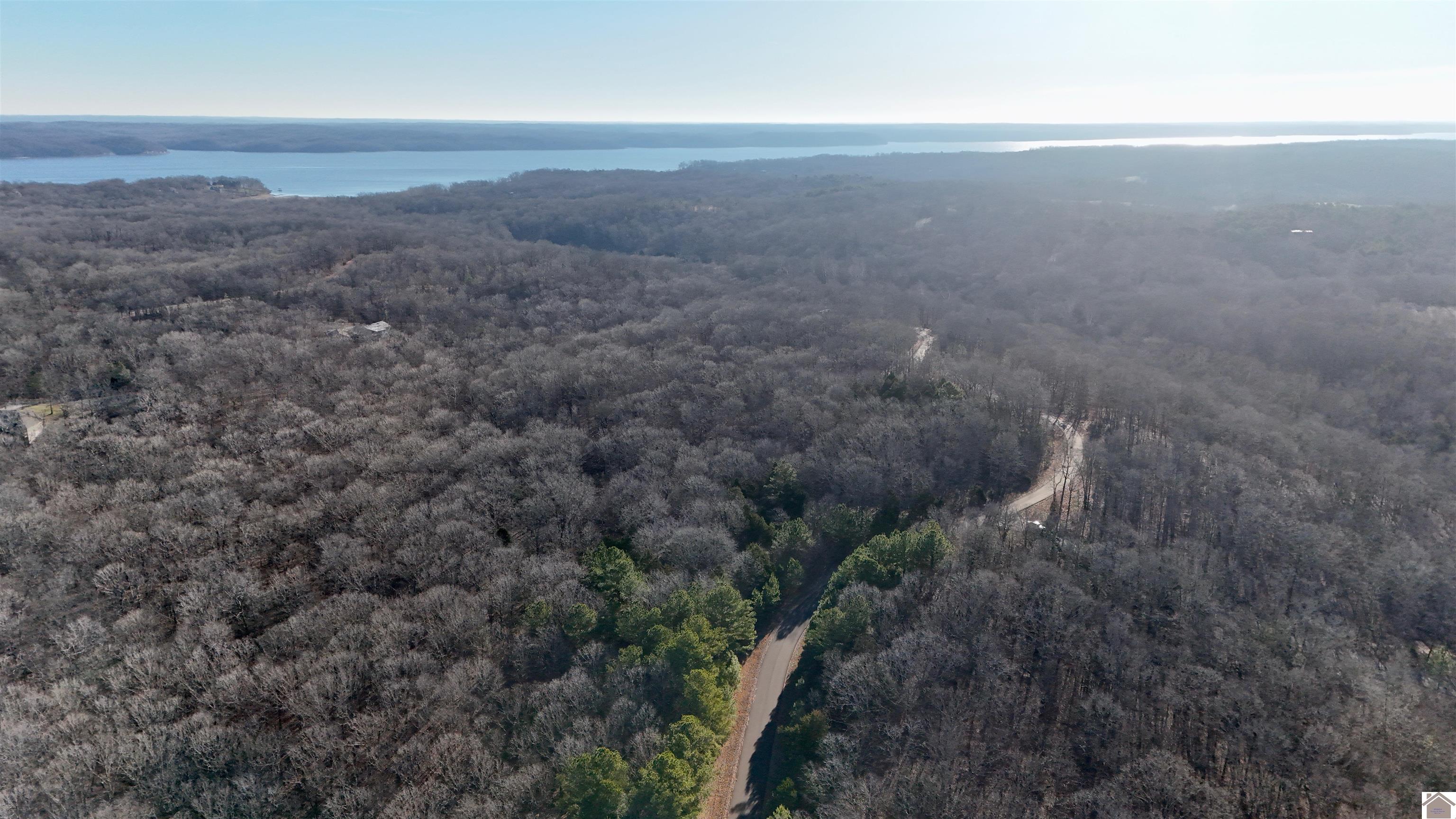 000 Hills Hollow Rd, Murray, KY 42071 Listing Photo  3