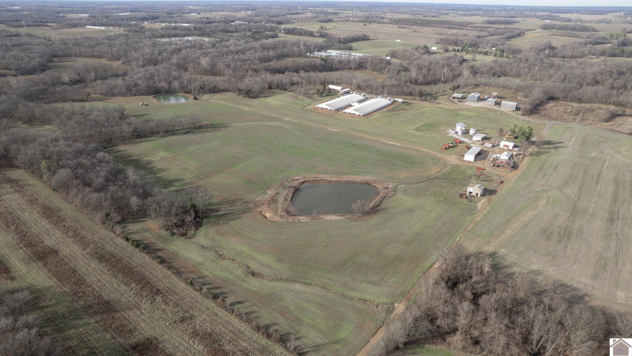 500 dairy ln, Murray, KY 42071 Listing Photo  47