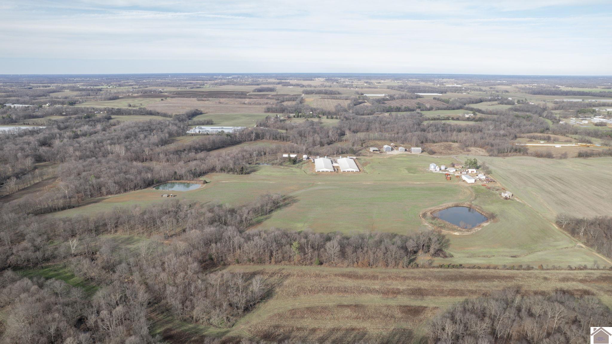 500 dairy ln, Murray, KY 42071 Listing Photo  48