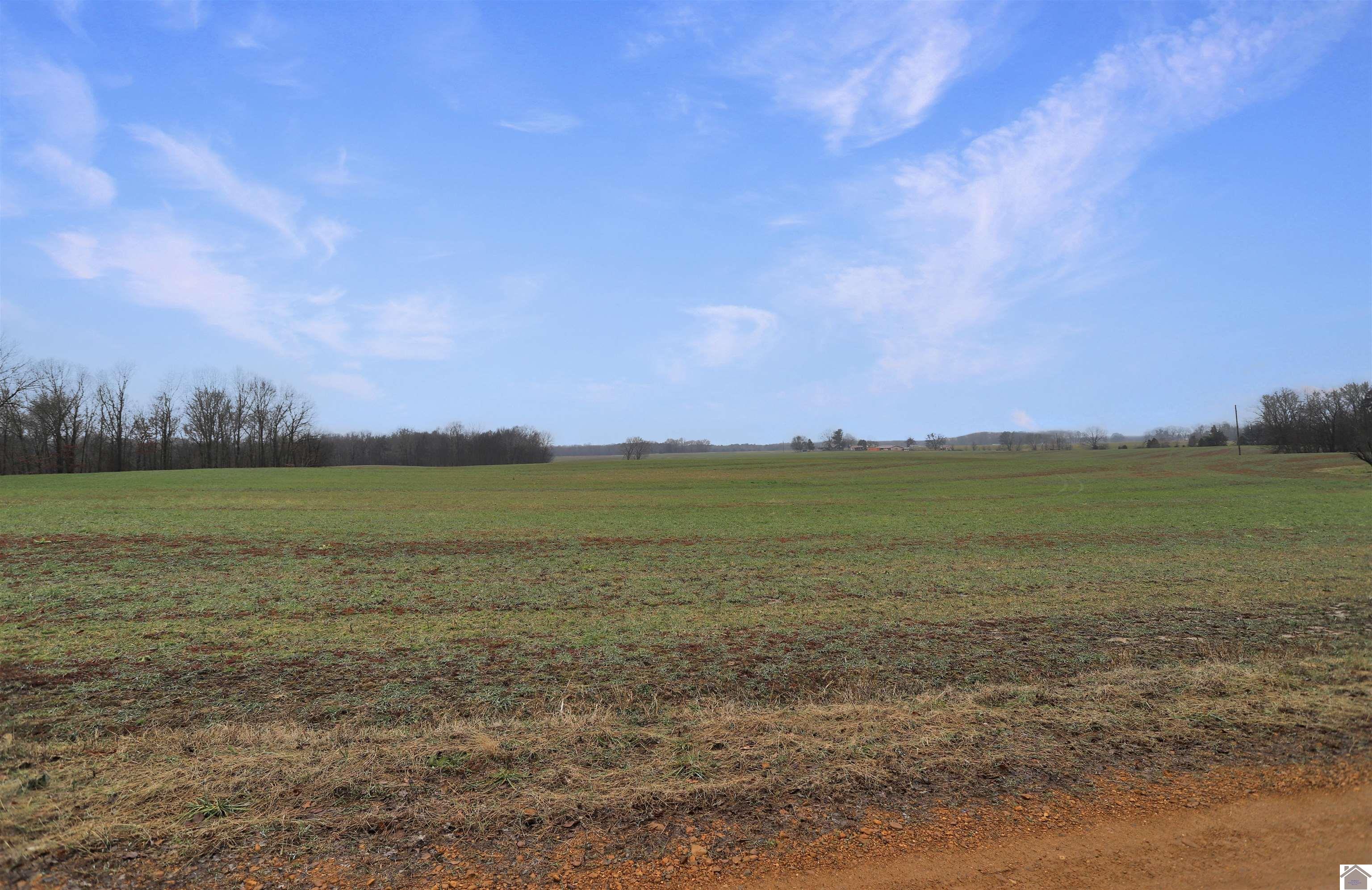 00 Atkins Trail (+/- 32 acres), Hazel, KY 42049 Listing Photo  8