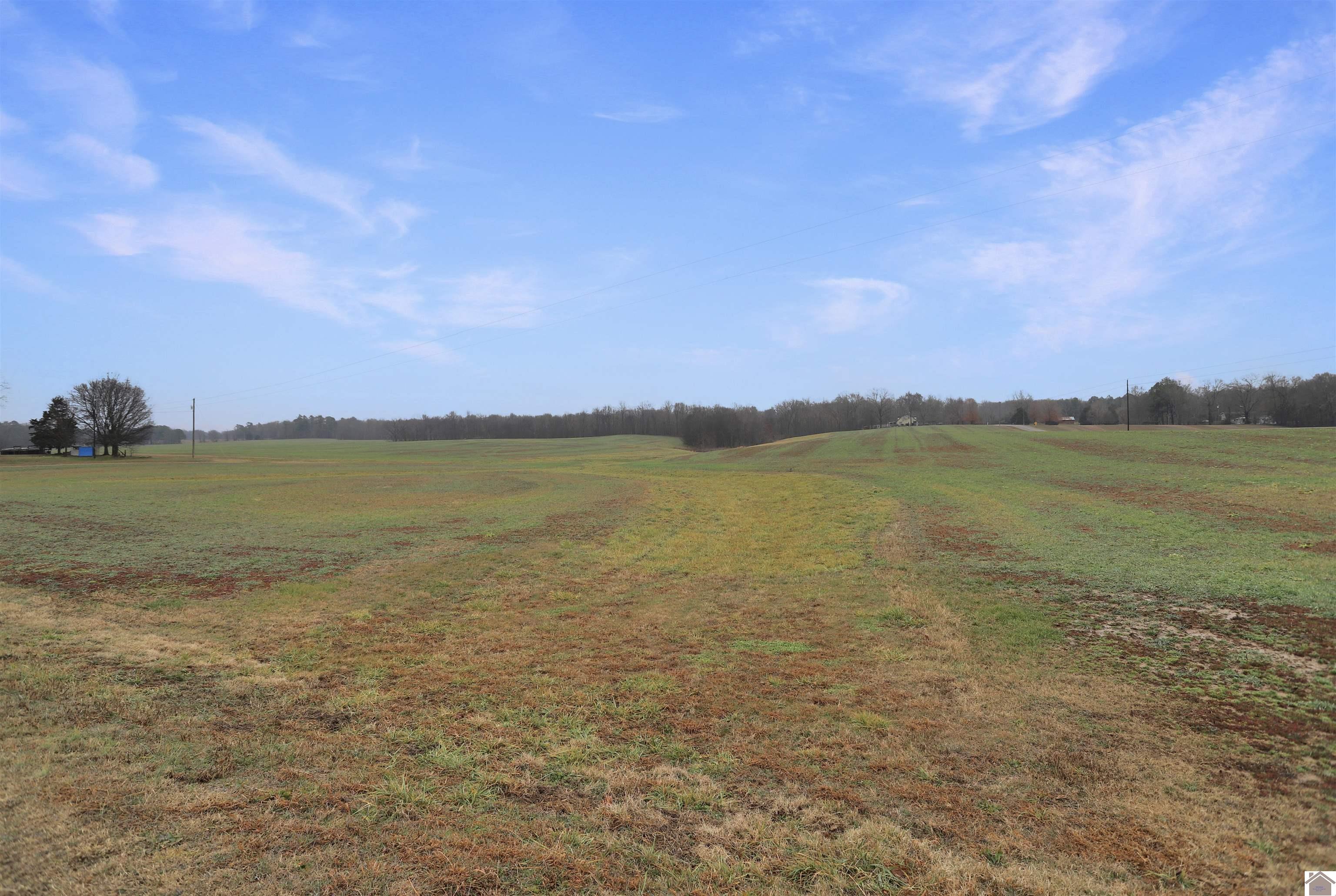 00 Atkins Trail (+/- 59 acres), Hazel, KY 42049 Listing Photo  7