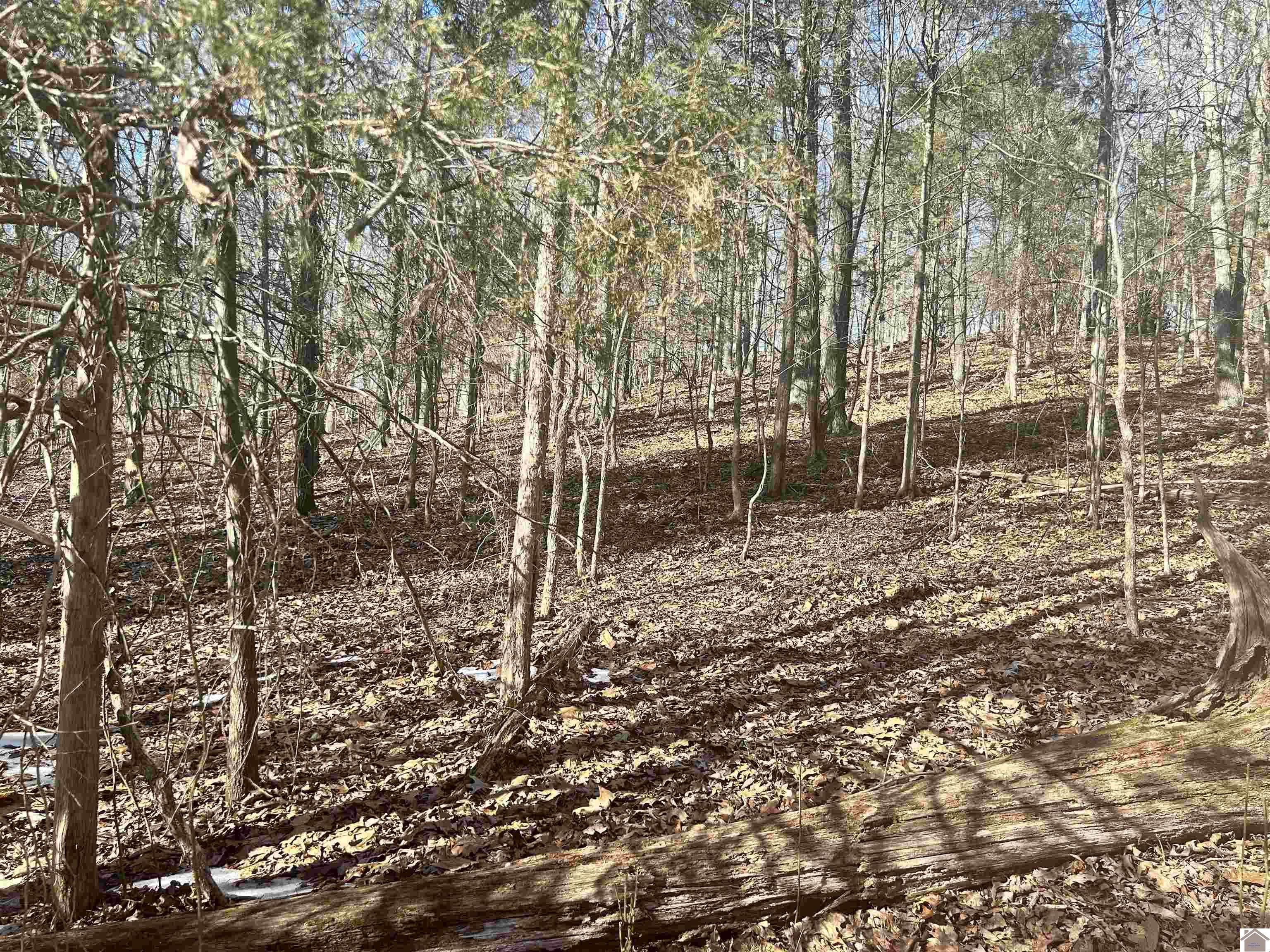 lots 34&35 Canton Heights 2, Cadiz, KY 42211 Listing Photo  1
