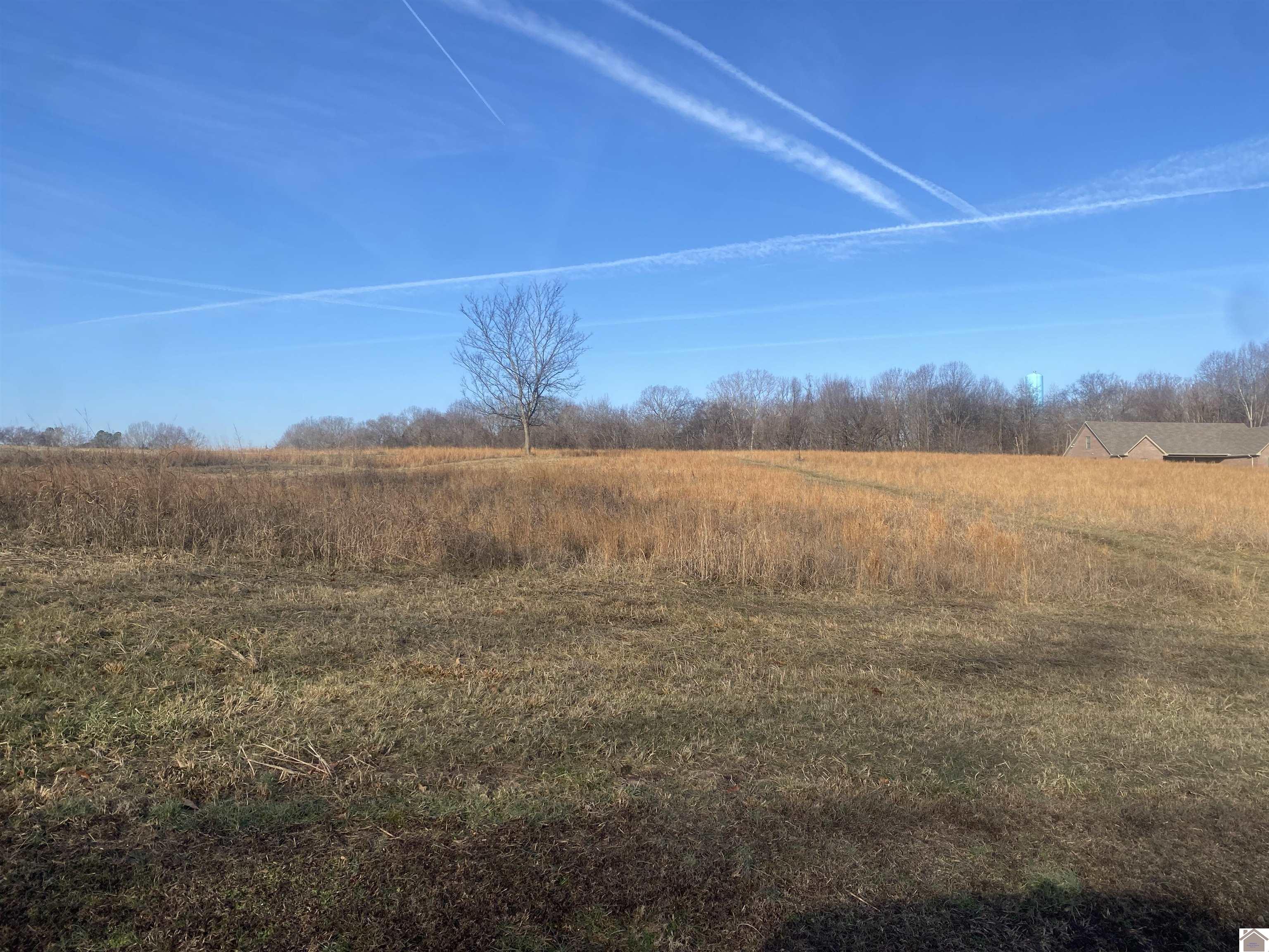 011 Bay Lane, Cadiz, KY 42211 Listing Photo  1