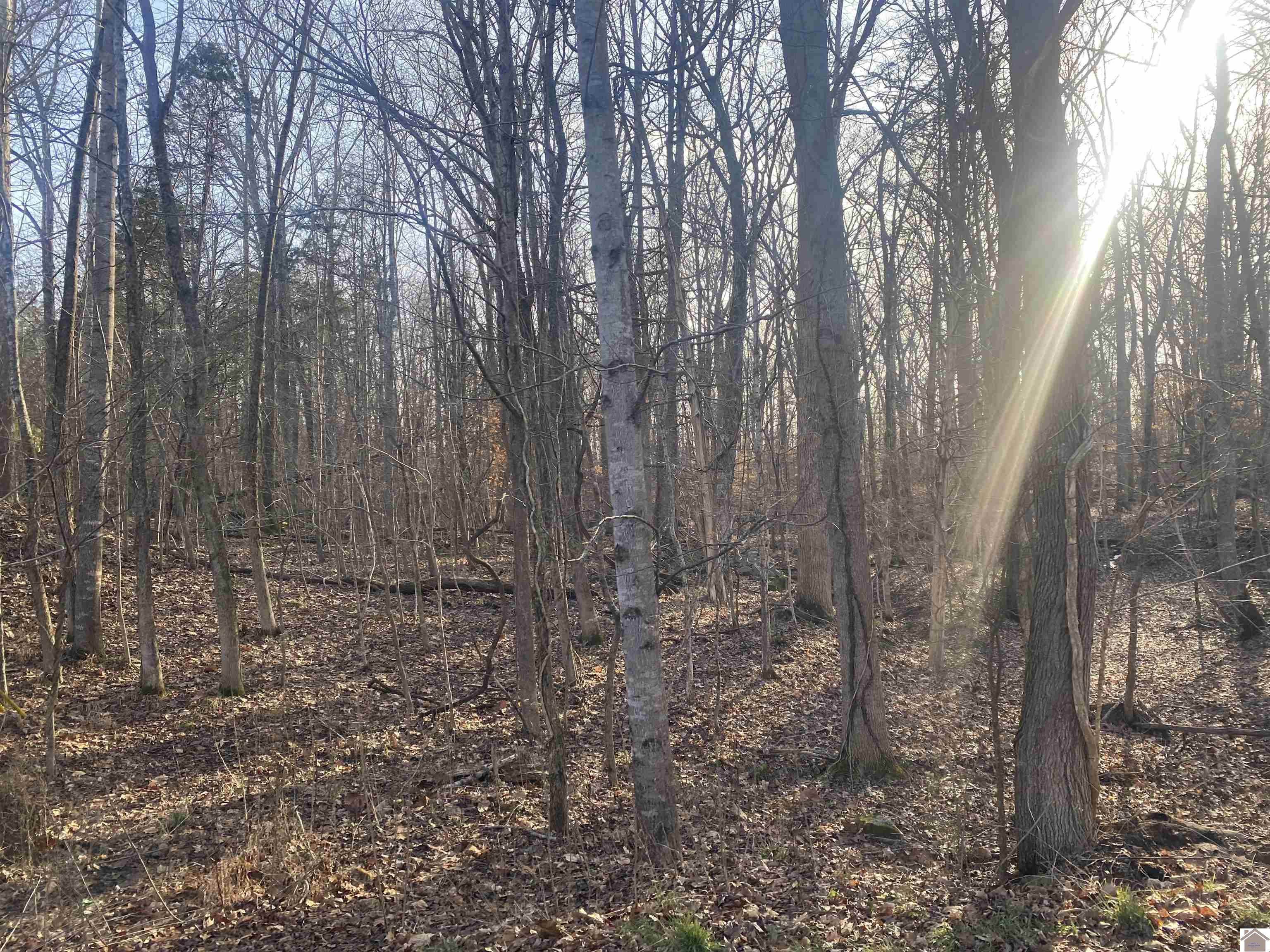 011 Bay Lane, Cadiz, KY 42211 Listing Photo  3