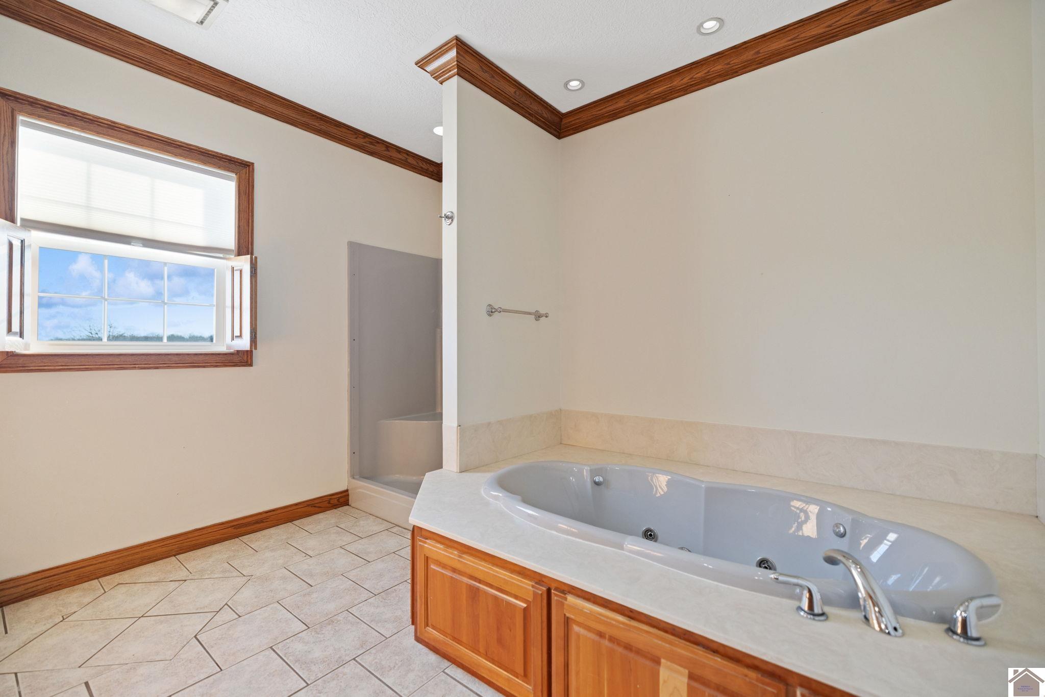 4210 State Route 131, Mayfield, KY 42066 Listing Photo  28