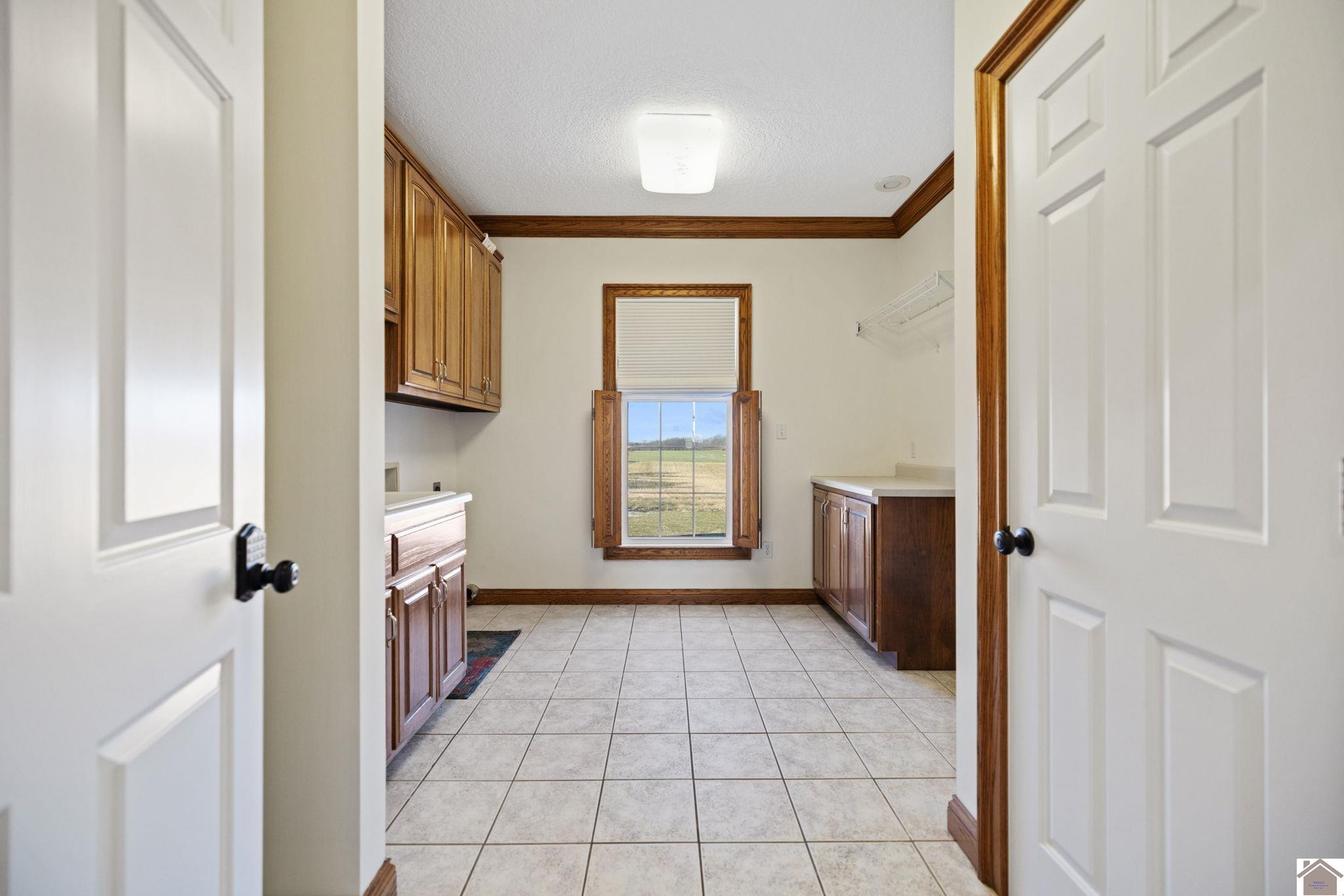 4210 State Route 131, Mayfield, KY 42066 Listing Photo  29