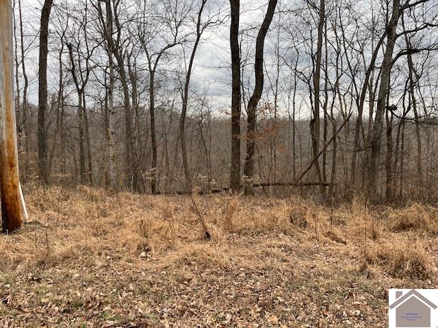 00 Pelican Way, Cadiz, KY 42211 Listing Photo  4