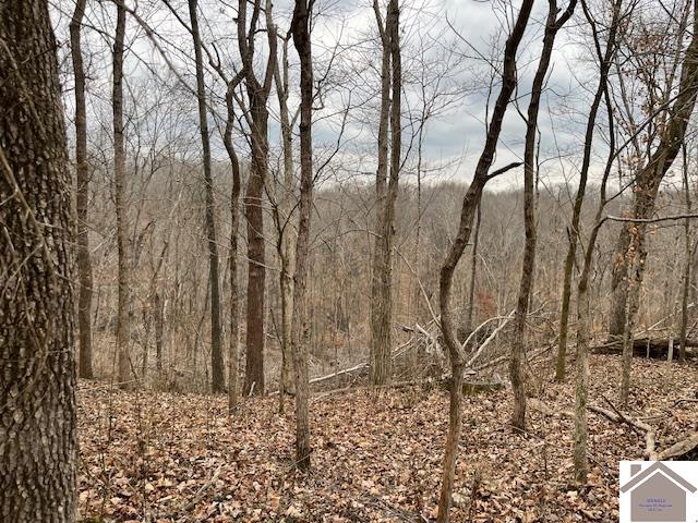 00 Pelican Way, Cadiz, KY 42211 Listing Photo  5