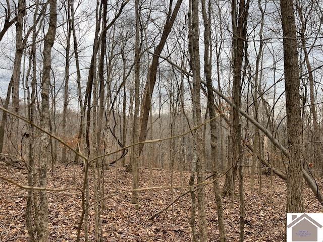 00 Pelican Way, Cadiz, KY 42211 Listing Photo  7