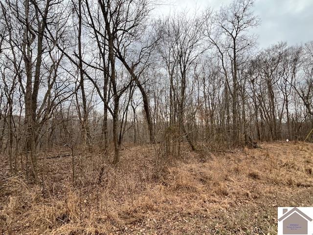 00 Pelican Way, Cadiz, KY 42211 Listing Photo  8